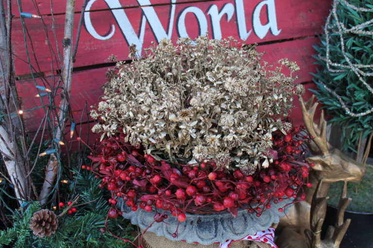 Spray Painted Mums add Christmas sparkle to the porch Magic Brush