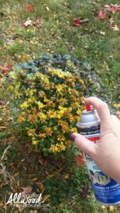 Spray Painted Mums & Ferns for Christmas Porch Decor | Magic Brush
