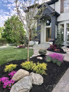 dark mulch with green and pink plants and big rocks