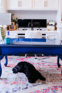 dog laying on colorful rug in jennifer allwood's home office