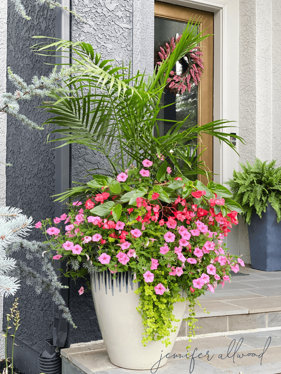 flower planter with pink flowers and greenery for by your front door