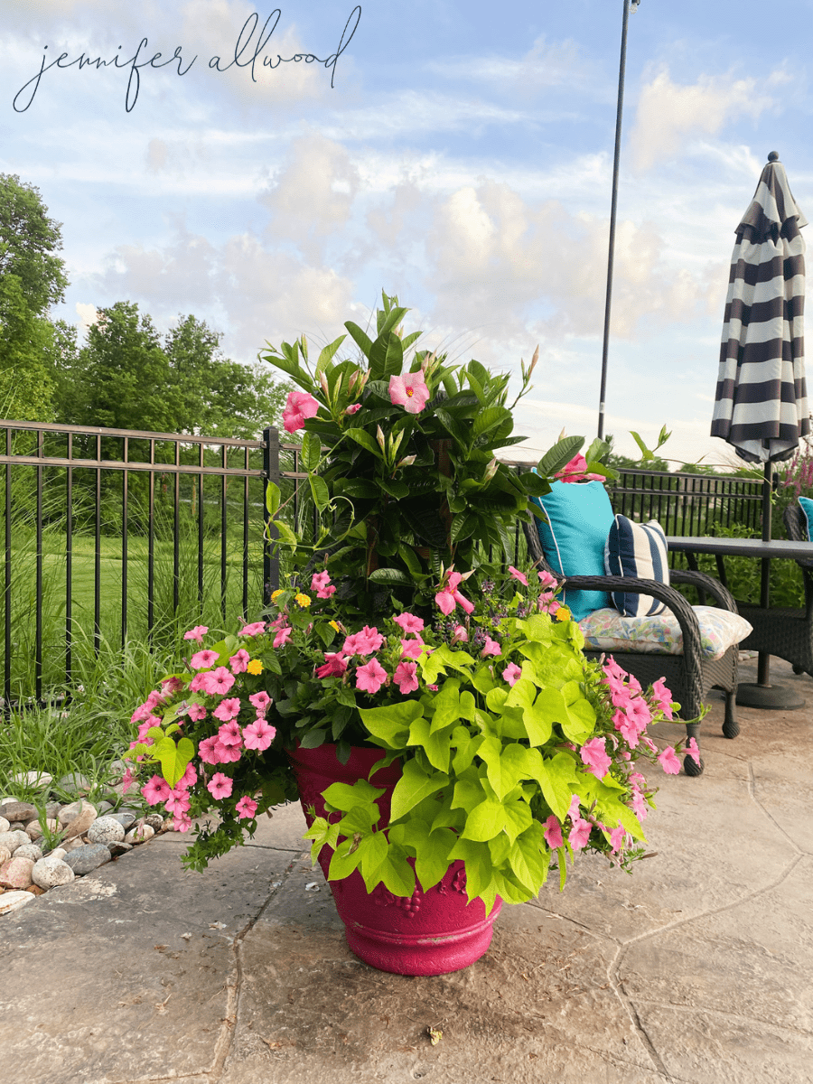 large glam pink flower pot on pool deck with pink flowers